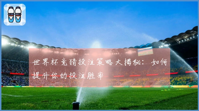 世界杯竞猜投注策略大揭秘：如何提升你的投注胜率