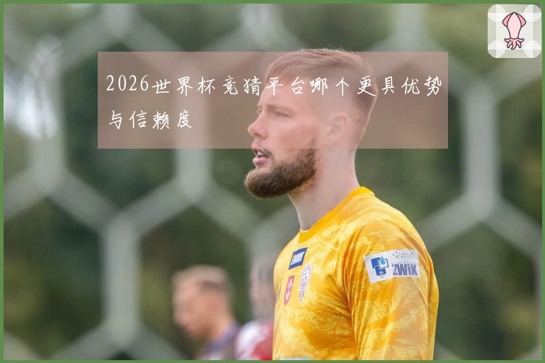 2026世界杯竞猜平台哪个更具优势与信赖度