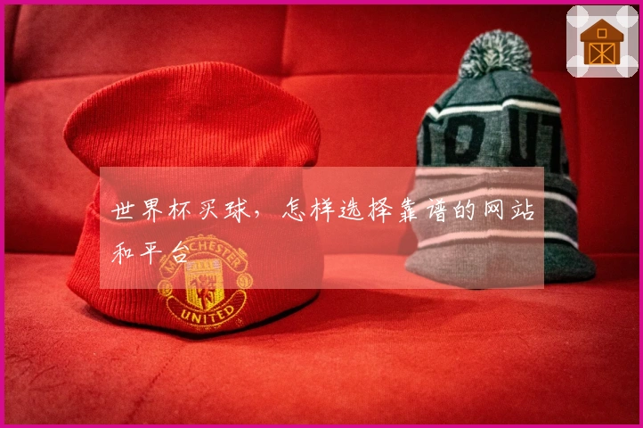 世界杯买球，怎样选择靠谱的网站和平台
