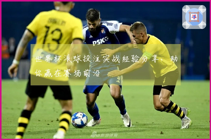 世界杯滚球投注实战经验分享，助你赢在赛场前沿
