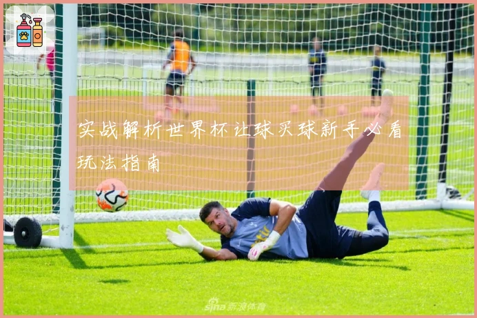 实战解析世界杯让球买球新手必看玩法指南