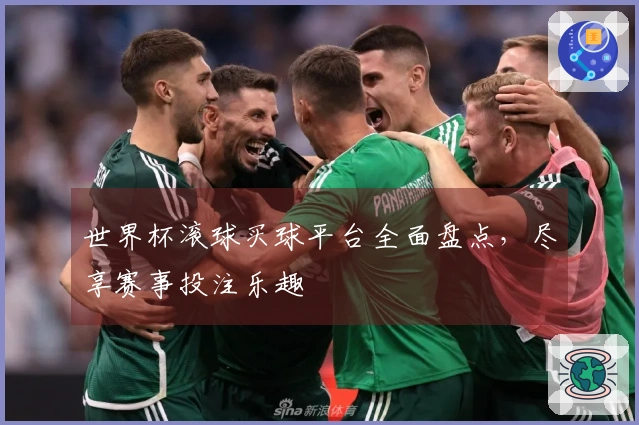 世界杯滚球买球平台全面盘点，尽享赛事投注乐趣