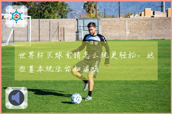 世界杯买球竞猜怎么玩更轻松，这些基本玩法你知道吗
