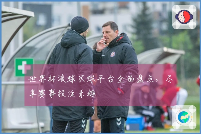 世界杯滚球买球平台全面盘点，尽享赛事投注乐趣