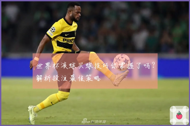 世界杯滚球买球技巧你掌握了吗？解析投注最佳策略