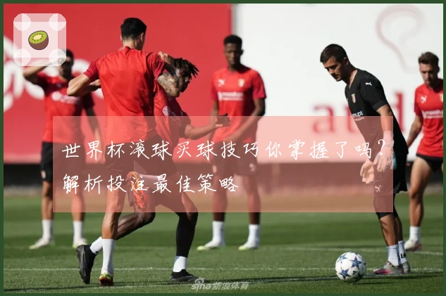 世界杯滚球买球技巧你掌握了吗？解析投注最佳策略