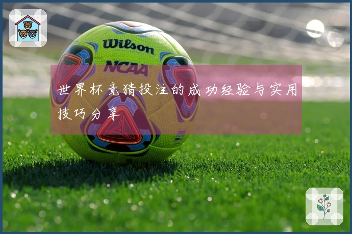 世界杯竞猜投注的成功经验与实用技巧分享